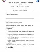 ¿Qué microorganismos y procesos biológicos, están inmersos en la elaboración del yogurt?