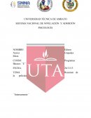 Resumen de intensamente.