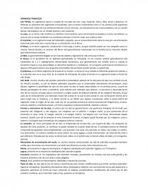 APENDICES TORACICOS. Página 1