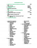 10 sectores en auje