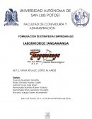 LA NUEVA INVESTIGACION DE CAMPO GILLETTE.