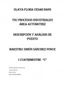 Descripción y análisis de puesto.