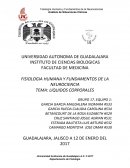 LIQUIDOS CORPORALES.