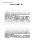 Alpargatas a la mexicana caso practico.