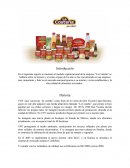 Ensayo modelo organizacional de la empresa la costeña