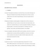 DIAGNOSTICO DESCRIPCION DEL CONTEXTO: