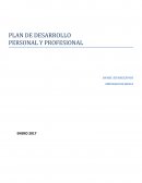 EJEMPLO DE PLAN DE DESARROLLO PERSONAL Y PROFESIONAL.