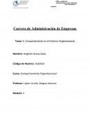 Comportamiento del entorno organizacional