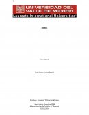 Modelo de negocios. Caso Enron