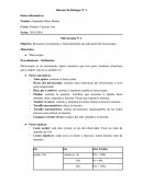 Informe De Biología Nº 1