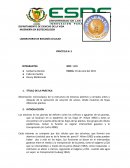 Observación microscópica de la estructura de estomas abiertos y cerrados antes y después de la aplicación de solución de azúcar, desde muestras de hojas diferentes plantas.