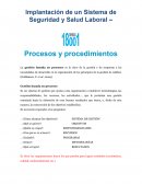 Implantación de un Sistema de Seguridad y Salud Laboral