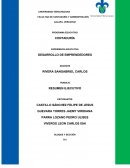 EXPERIENCIA EDUCATIVA DESARROLLO DE EMPRENDEDORES