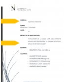 Biotox-acetona en ratones.