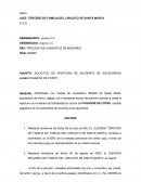 ASUNTO: SOLICITUD DE APERTURA DE INCIDENTE DE SOLIDARIDAD contra PAGADOR DE FOPEP.