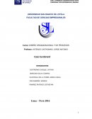 Diseño organizacional y de procesos. Caso Eurobrand