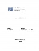 MOVIMIENTO DE TIERRA.