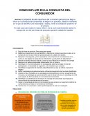 Como influir en la conducta del consumidor.