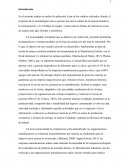 LEAN -ADMINISTRACIÓN DE OPRACIONES.