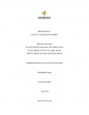 Resumen- ADMINISTRACION EN SALUD OCUPACIONAL