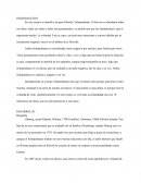 Shopenhauer y la voluntad de vivir.