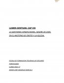 Dogmas sobre Maria en Lumen Gentium.