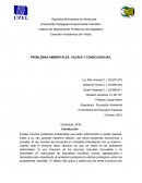 Problemas ambientales.