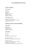 TRABAJO FINAL. CATALOGO DE CUENTAS