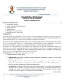 CUADERNILLO DE TRABAJO 3ER PARCIAL 1RO BGU IAC