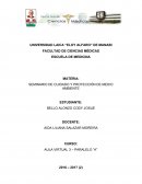 SEMINARIO DE CUIDADO Y PROTECCIÓN DE MEDIO AMBIENTE