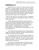 Resúmen Nunca seré tu héroe.