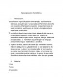 La Especializacion hemisferica