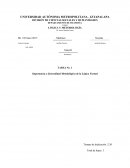 LÓGICA Y METODOLOGÍA