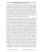 Revolucion verde y agricultura de altos insumos.