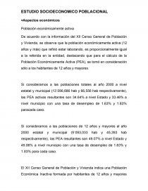 ESTUDIO SOCIOECONOMICO POBLACIONAL. Página 1