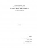 La ubicación de la prueba en el ordenamiento jurídico.