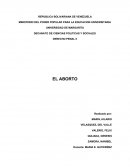 El aborto. Discusión sobre su punibilidad