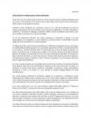 EVOLUCION DEL TRABAJO SOCIAL COMO PROFESION