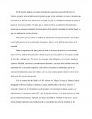 El divorcio, por sus efectos e incidencia, requiere de una especial atención, que ayude a evitar daños graves en los involucrados (cónyuges e hijos) y en la familia como núcleo de la sociedad..