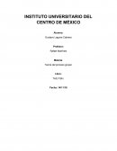 INSTITUTO UNIVERSITARIO DEL CENTRO DE MÉXICO.