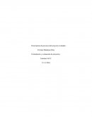 Entregar un informe, incorporando los análisis y ciñéndose a la estructura: introducción, desarrollo y conclusión.