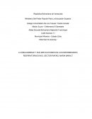 LA INSALUBRIDAD Y SUS IMPLICACIONES EN LAS ENFERMEDADES RESPIRATORIAS EN EL SECTOR RAFAEL MARIA BARALT