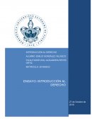 Introduccion al Derecho. ¿Qué se entiende por derecho?