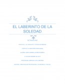 EL LABERINTO DE LA SOLEDAD.ORIENTACION PROFESIOINAL, ECONOMICA Y SOCIAL