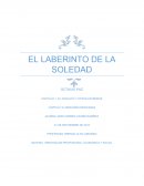 EL LABERINTO DE LA SOLEDAD.ORIENTACION PROFESIOINAL, ECONOMICA Y SOCIAL