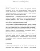 Auditoria de la funcion Organizacion
