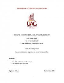 DOCENTE – INVESTIGADOR ¿NUEVA FUNCIÓN DOCENTE?. Página 1