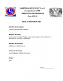 Ensayo sobre la unidad 1 “Origen y desarrollo de la enfermería profesional en Mesoamérica, colonial e independiente.