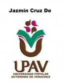 Abuso de poder por parte de los funcionarios publicos en las Choapas Veracruz