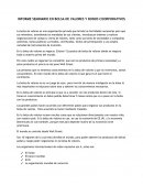 Informe de Seminario en Bolsa de Valores y Bonos Corporativos.